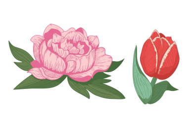 Vintage çiçek vektör çizim.