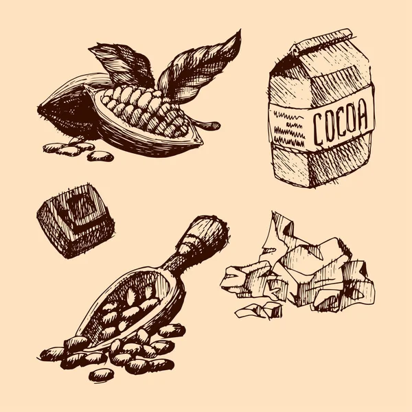 Векторний какао рука намальована ілюстрація ескізу . — стоковий вектор