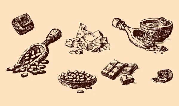 Vector cacao dibujado a mano dibujo ilustración . — Vector de stock