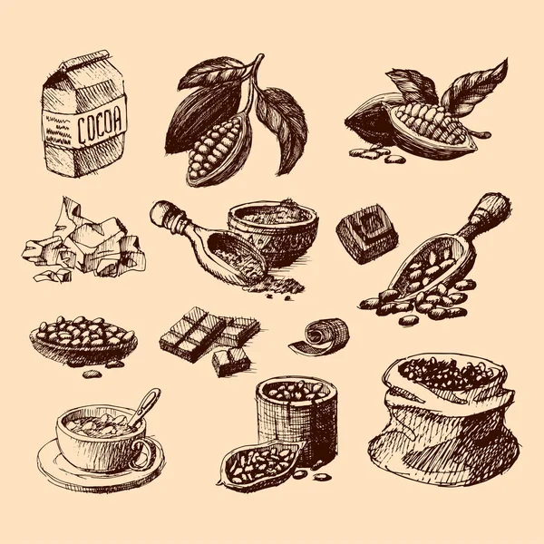 Vector cacao dibujado a mano dibujo ilustración . — Archivo Imágenes Vectoriales