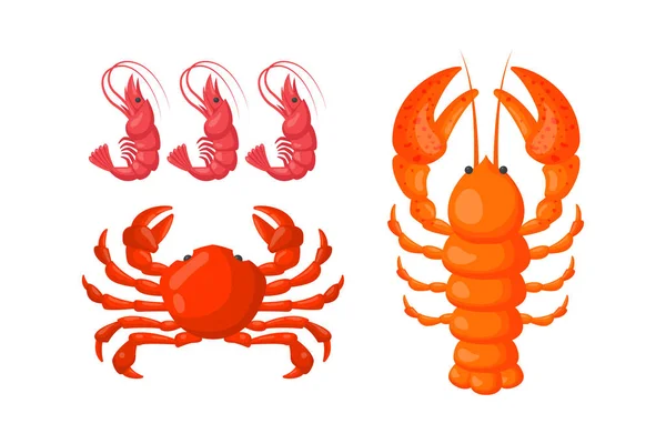 Langosta, camarones y cangrejo vector ilustración plana . — Vector de stock