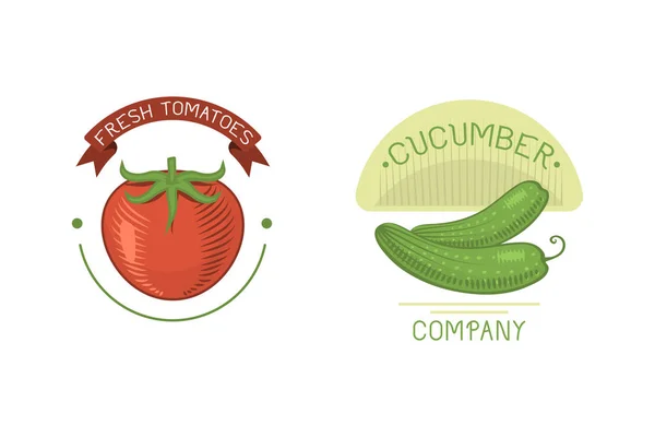 Wektor warzywa ogórek i pomidor etykieta ikona szablonu. — Wektor stockowy