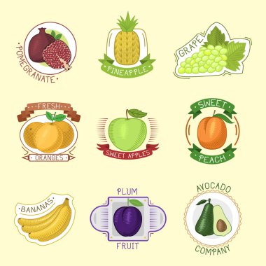 Vektör meyve rozetleri.