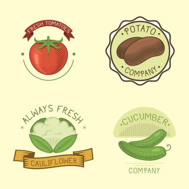 Vektör sebze etiket şablon simgesi.