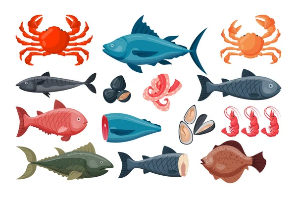 Sea food vector illustration. — Stock Vector