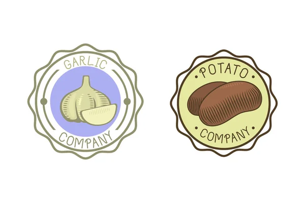 Česnek a brambory odznak vektorové ilustrace. — Stockový vektor