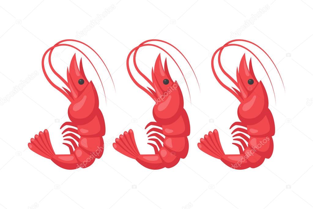 Shrimp vector illustration.