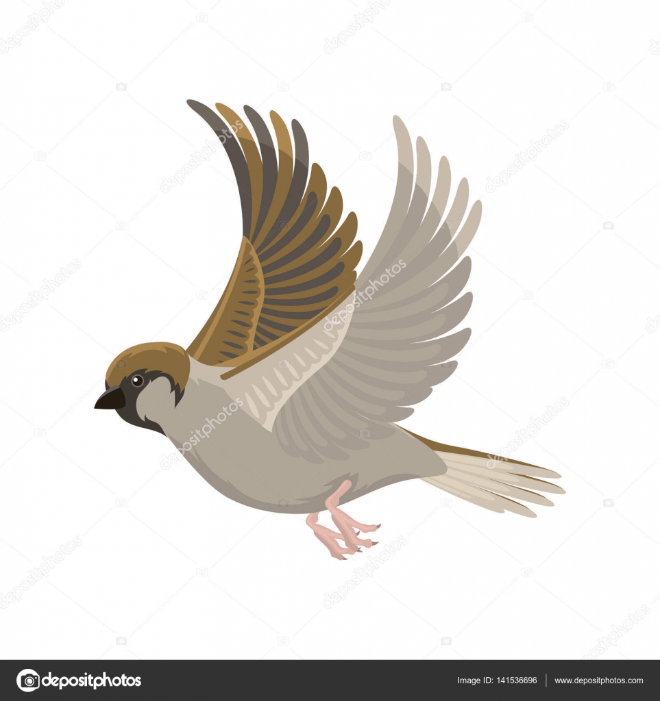 最高の動物画像 ベスト50 飛ぶ鳥 イラスト かわいい 最高の動物画像 ベスト50 飛ぶ鳥 イラスト かわいい