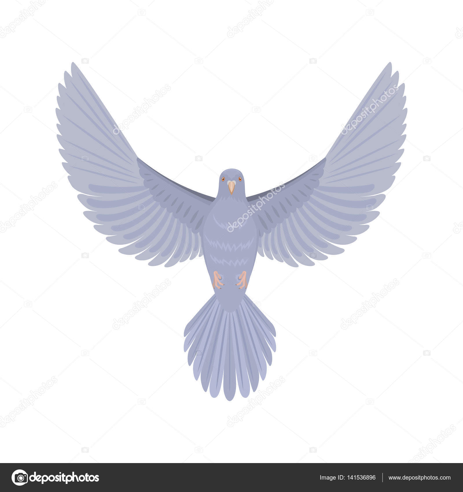 Colombe Illustration Vectorielle Des Oiseaux Volante