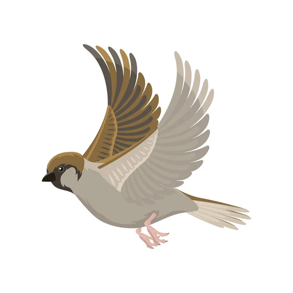 Gorrión vuelo ave vector ilustración — Archivo Imágenes Vectoriales