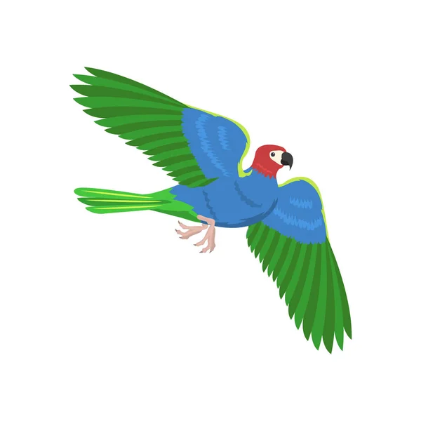 Cartoon papegoja flygande fågel vektorillustration. — Stock vektor