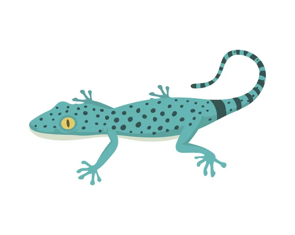 Lagarto azul reptil aislado vector ilustración . — Vector de stock