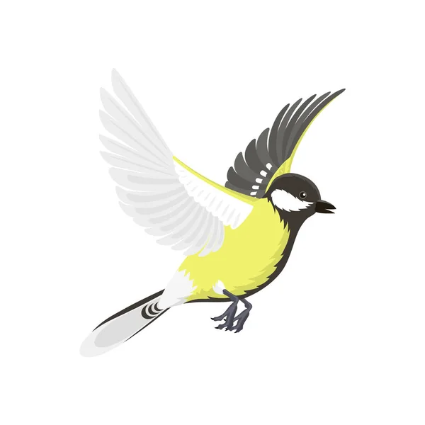 Titmouse uccello isolato su bianco natura selvaggio vettore illustrazione . — Vettoriale Stock