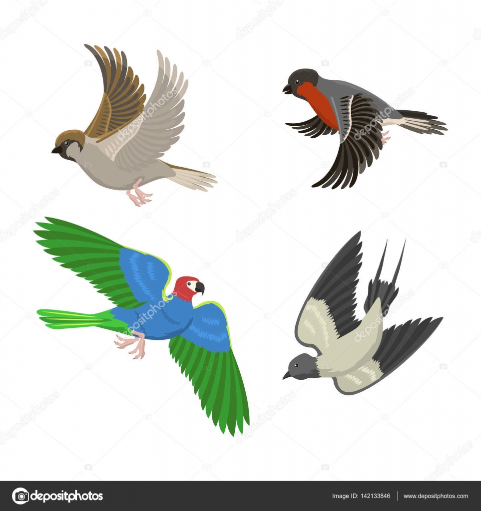 Verwonderlijk Set of different flying birds vector illustration. — Stock Vector SM-45
