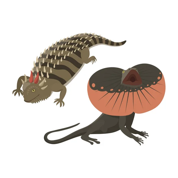 Diferentes tipos de lagarto reptil aislado vector ilustración . — Archivo Imágenes Vectoriales