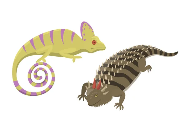 Diferentes tipos de lagarto reptil aislado vector ilustración . — Archivo Imágenes Vectoriales