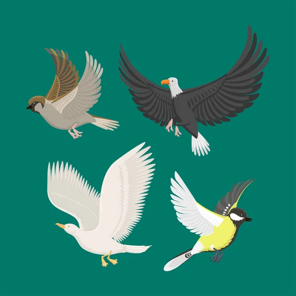 Set of different flying birds vector illustration. — Stock Vector