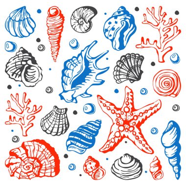 Deniz deniz kabukları çizilmiş kroki vektör çizim el.