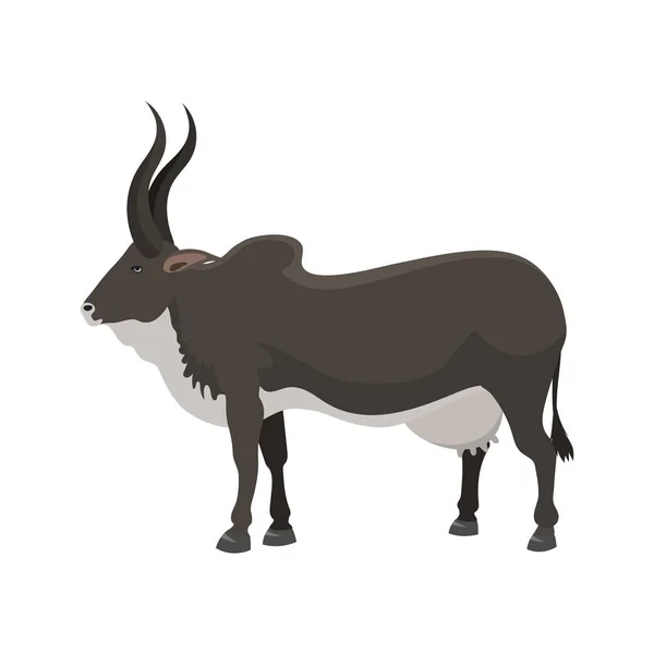 Boerderij dieren mannelijke staande vectorillustratie stier. — Stockvector