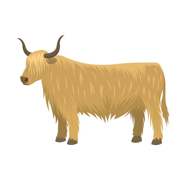 Toro granja animal macho pie vector ilustración . — Archivo Imágenes Vectoriales