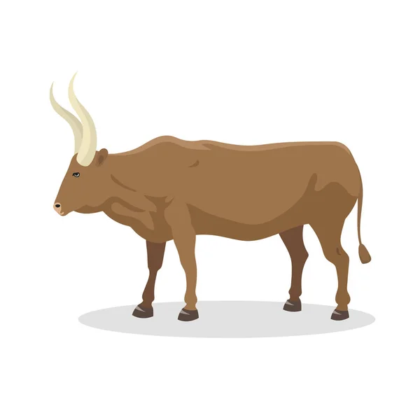 Bull fazenda animal macho pé vetor ilustração . —  Vetores de Stock