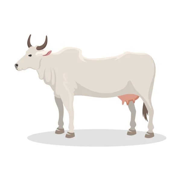 Cartoon cow farm animal vector illustration. — Stock Vector