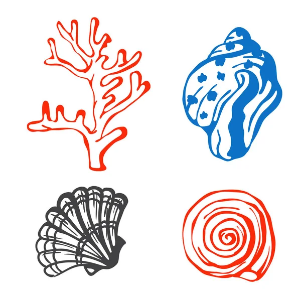 Tengeri tengeri kagyló kézzel rajzolt vázlat vektoros illusztráció. — Stock Vector