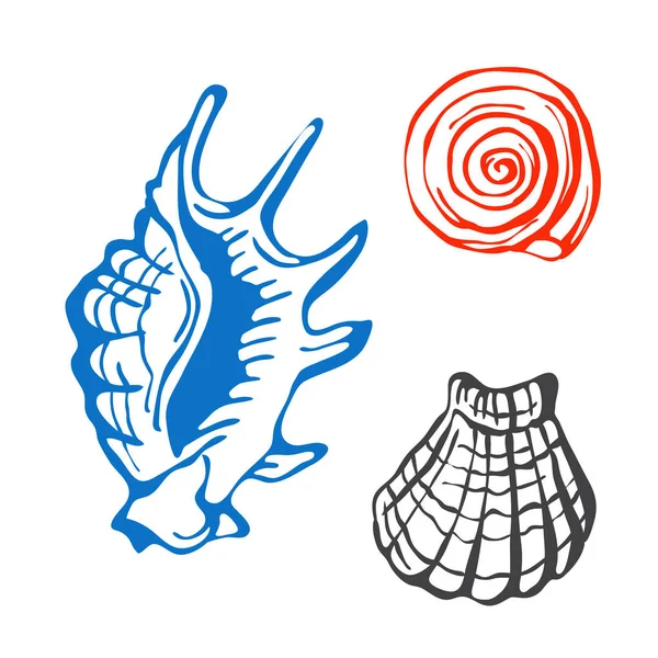 Conchas marinas marinas dibujado a mano ilustración vector boceto . — Vector de stock