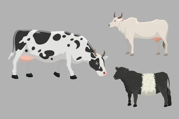 Illustration vectorielle du taureau et de la vache . — Image vectorielle