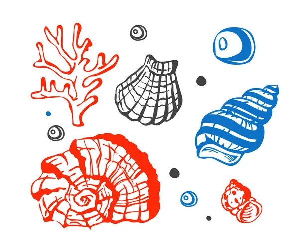 Sea marine shells hand drawn sketch vector illustration. — Stock Vector