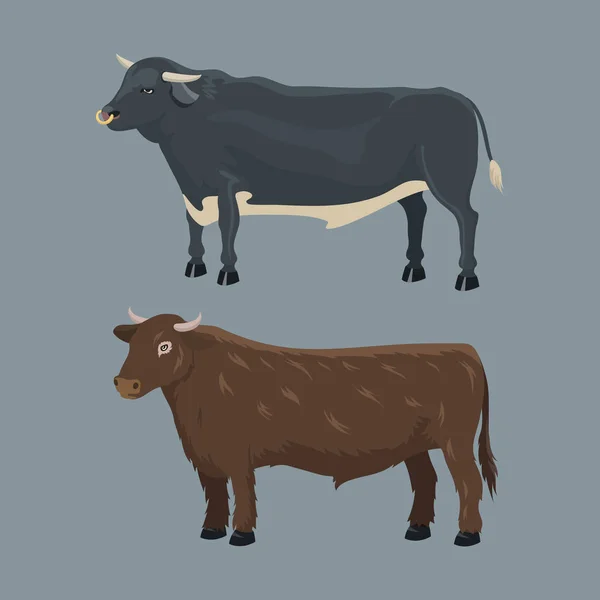 Bull fazenda animal macho pé vetor ilustração . —  Vetores de Stock