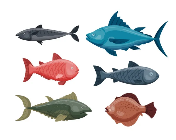Lindo pez de dibujos animados divertido natación gráfico animal carácter y submarino vida silvestre naturaleza acuática aleta marina vector de agua ilustración . — Vector de stock