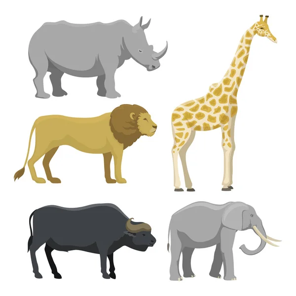 Lindo safari de dibujos animados animales vector ilustración . — Archivo Imágenes Vectoriales