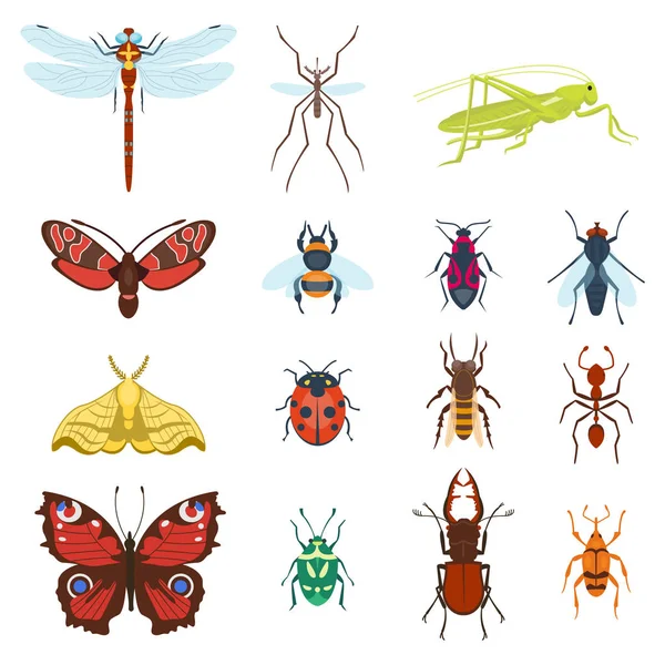 Kleurrijke bovenaanzicht insecten pictogrammen geïsoleerd op witte dieren in het wild vleugel detail zomer worm en rups bugs wild spin bee vectorillustratie. — Stockvector