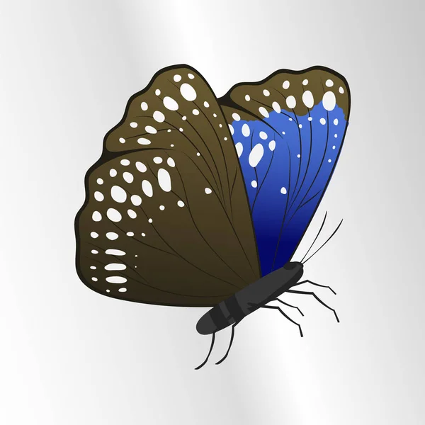 Πολύχρωμο πεταλούδα με αφηρημένα διακοσμητικό μοτίβο καλοκαίρι δωρεάν μύγα παρόντες σιλουέτα και ομορφιάς φύση την άνοιξη εντόμων διακόσμηση. Εικονογράφηση διάνυσμα. — Διανυσματικό Αρχείο