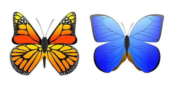 Красочные бабочки с абстрактным декоративным узором летняя свободная муха представляет силуэт и красоту природы весеннее украшение насекомых. векторная иллюстрация . — стоковый вектор