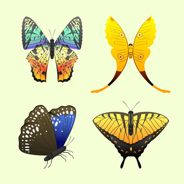 Colorful butterflies with abstract decorative pattern summer free fly present silhouette and beauty nature spring insect decoration. vector illustration. — Stock Vector