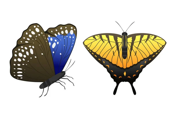 Πολύχρωμες πεταλούδες με αφηρημένα διακοσμητικό μοτίβο καλοκαίρι δωρεάν μύγα παρόντες σιλουέτα και ομορφιάς φύση την άνοιξη εντόμων διακόσμηση. Εικονογράφηση διάνυσμα. — Διανυσματικό Αρχείο