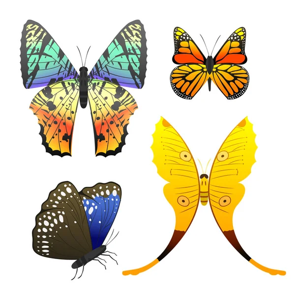 Mariposas coloridas con patrón decorativo abstracto verano libre mosca presente silueta y belleza naturaleza primavera insecto decoración. ilustración vectorial . — Archivo Imágenes Vectoriales