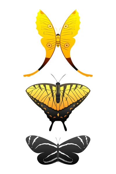 Borboletas coloridas com padrão decorativo abstrato verão livre mosca presente silhueta e beleza natureza primavera inseto decoração. ilustração vetorial . — Vetor de Stock
