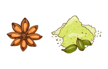 Malzemeler kırmızı biber sarımsak köri pişirme ve elle çizilmiş tarzı sebze madde vektör çizim baharat.