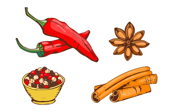 Gewürze Würzen von Hand gezeichnet Stil Lebensmittel Kräuter Elemente und Samen Zutaten Küche Blütenknospen Blätter Lebensmittel Pflanzen gesunde organische Gemüse Vektor Illustration. — Stockvektor
