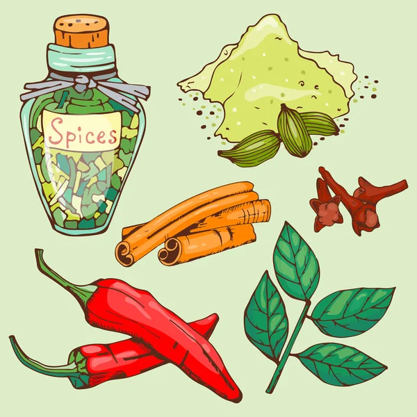 Spices seasoning hand drawn style food herbs elements and seeds ingredient cuisine flower buds leaves food plants healthy organic vegetable vector illustration. — Stock Vector