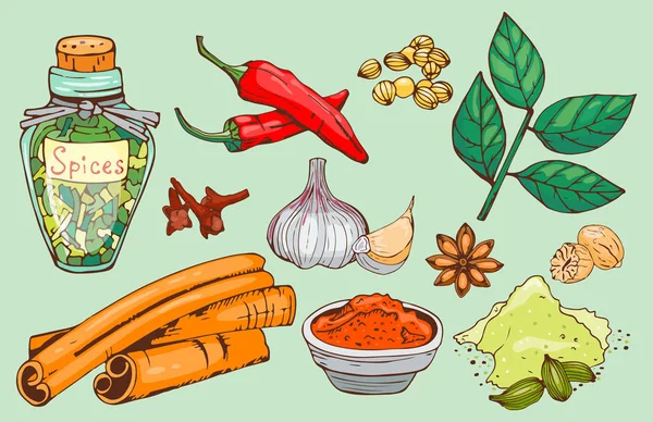 Especias condimento mano dibujado estilo alimentos hierbas elementos y semillas ingrediente cocina flores brotes hojas alimentos plantas saludable vegetal orgánico vector ilustración . — Vector de stock