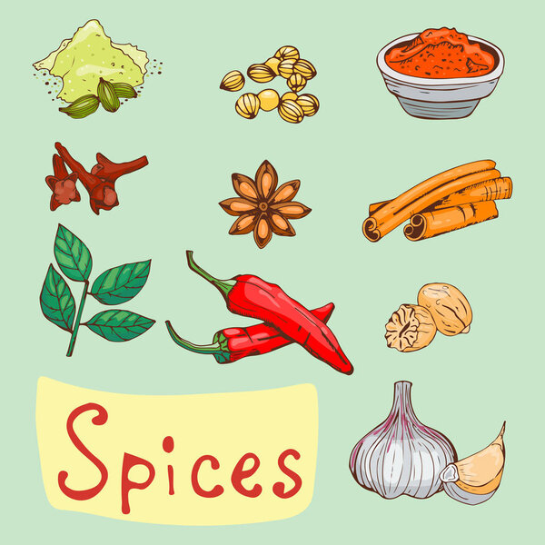 Специи приправы в стиле ручной работы элементы питания травы и семена кухни ингредиент цветочные почки листья пищевые растения здоровые органические растительные векторные иллюстрации
.