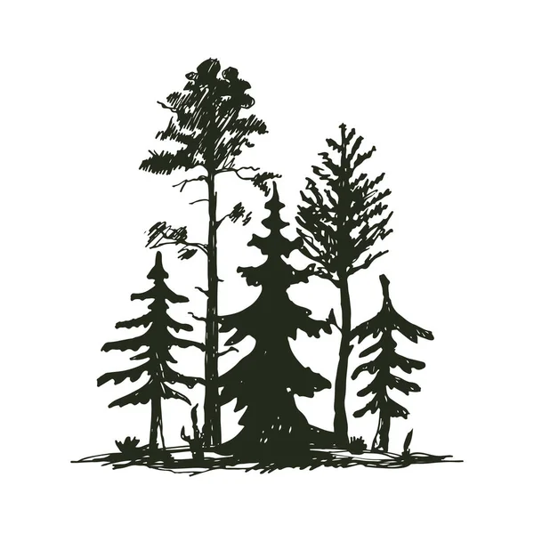 Fa kültéri utazási fekete sziluettje tűlevelű természetes jelvény, fenyő fenyő ága cédrus és növény levélnyelek absztrakt vektor, ábra rajz. — Stock Vector