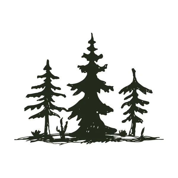 Arbre extérieur voyage noir silhouette conifères naturel badge, sommets pin épinette branche cèdre et plante feuille abstrait tige dessin vectoriel illustration . — Image vectorielle