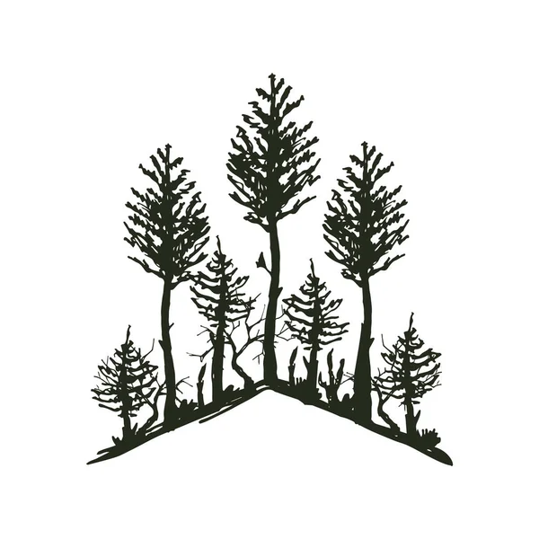 Boom buiten reizen zwarte silhouet naaldhout natuurlijke badge, topjes pine vuren tak ceder en plant abstract stam blad tekenen van vectorillustratie. — Stockvector