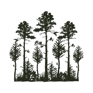Ağaç açık seyahat etmek siluet siyah iğne yapraklı doğal rozet, üstleri Ladin şube sedir çam ve yaprak soyut kök vektör çizim çizim bitki.