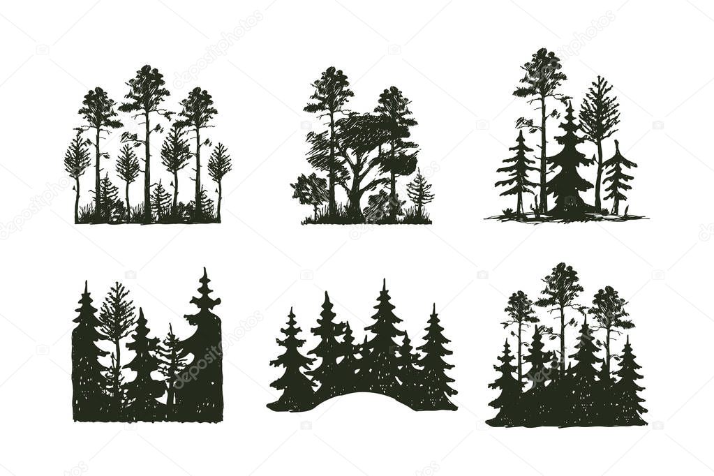 Tree outdoor travel black silhouette coniferous natural badge, tops